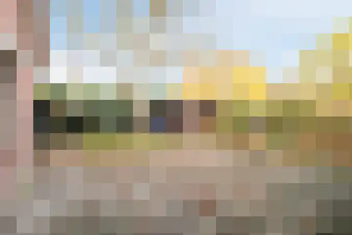 Boskant 15 Handel thumbnail 34