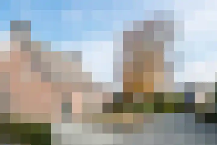 Boskant 15 Handel thumbnail 38