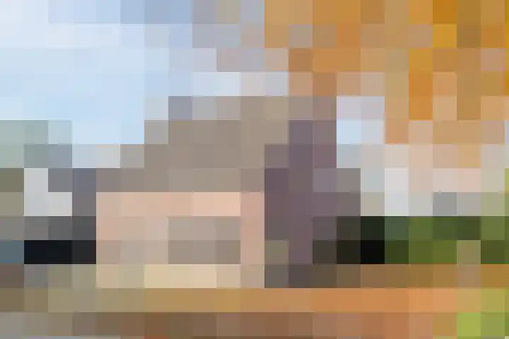 Boskant 15 Handel thumbnail 39