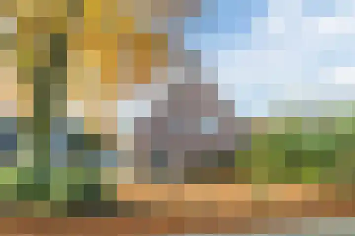 Boskant 15 Handel thumbnail 40