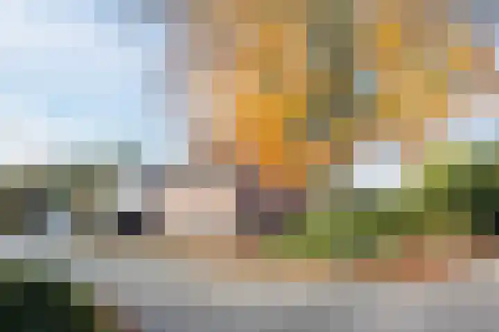 Boskant 15 Handel thumbnail 41