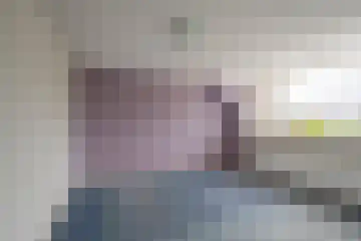Boskant 15 Handel thumbnail 7