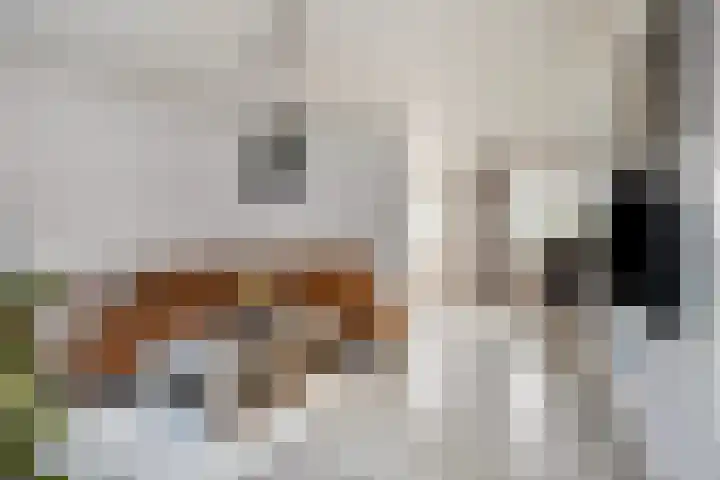Boskant 61 Handel thumbnail 10