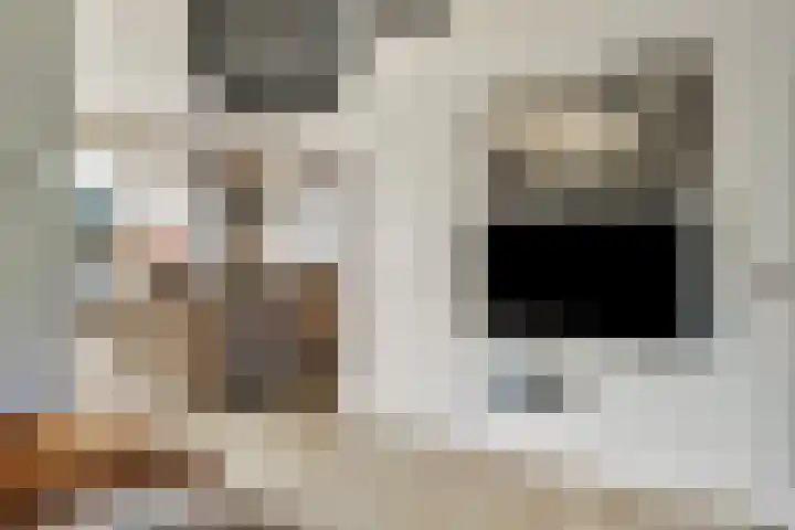 Boskant 61 Handel thumbnail 12