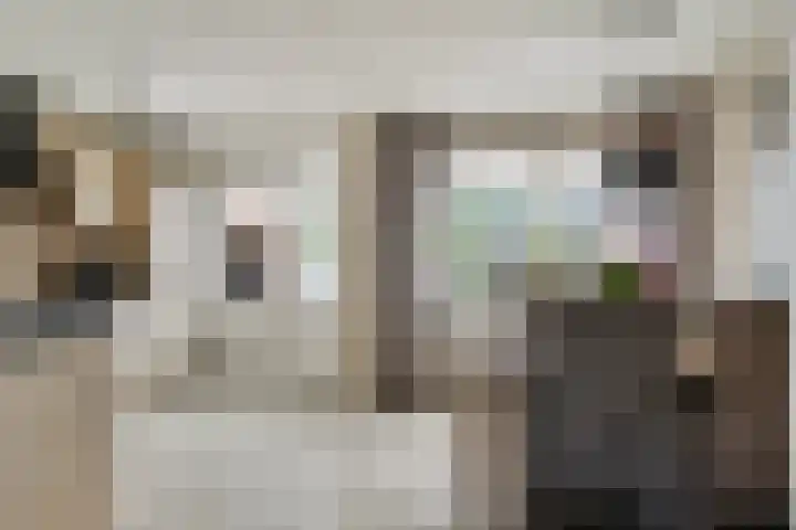 Boskant 61 Handel thumbnail 13