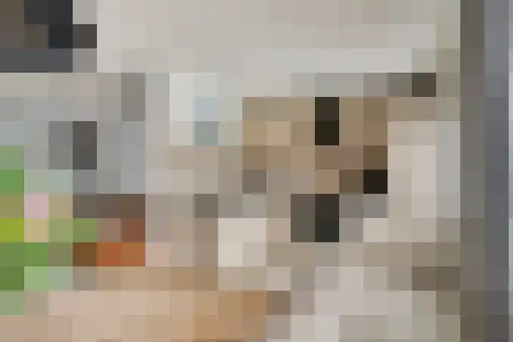 Boskant 61 Handel thumbnail 15