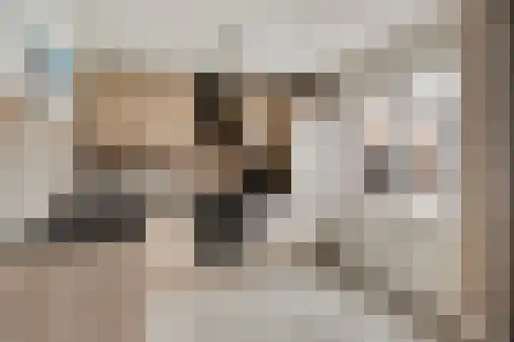 Boskant 61 Handel thumbnail 16