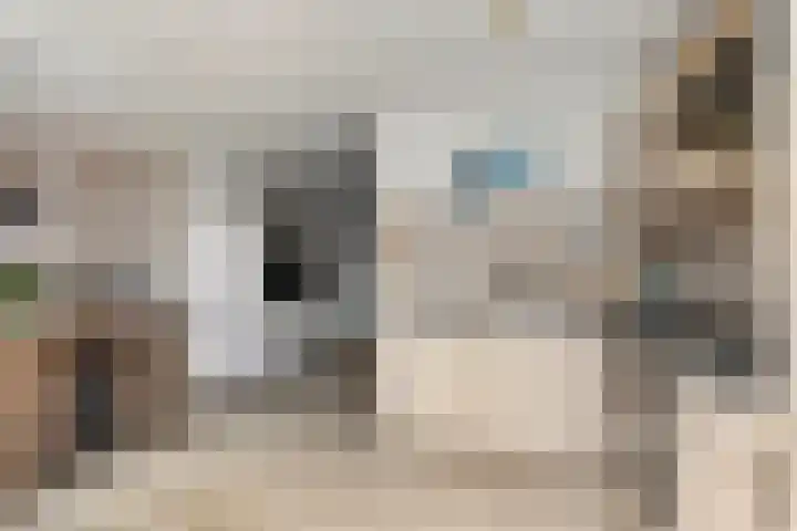 Boskant 61 Handel thumbnail 17