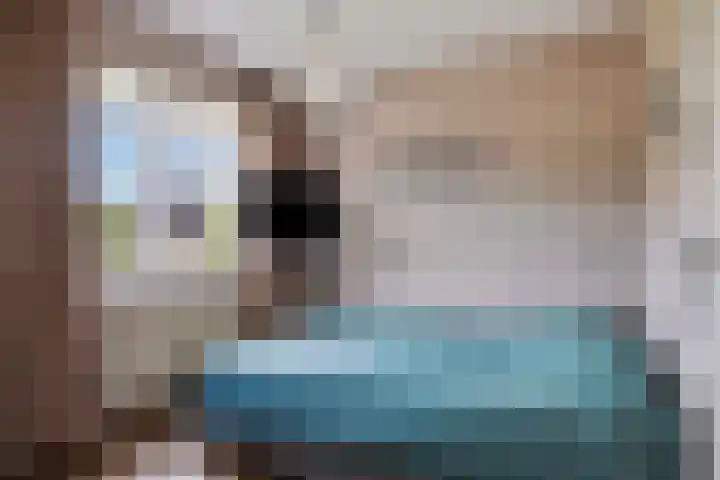 Boskant 61 Handel thumbnail 24