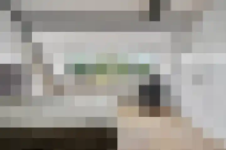 Boskant 61 Handel thumbnail 27