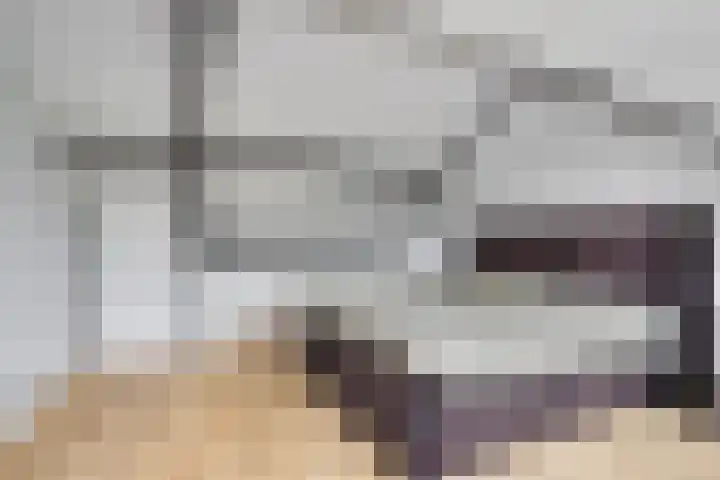 Boskant 61 Handel thumbnail 28