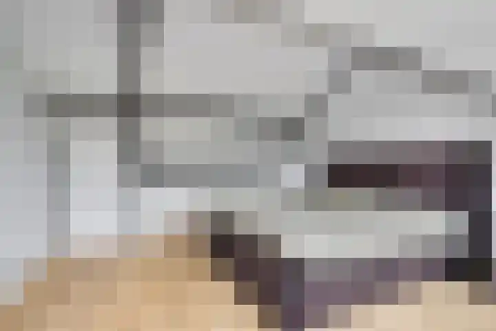 Boskant 61 Handel foto 3