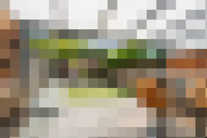 Boskant 61 Handel thumbnail 30