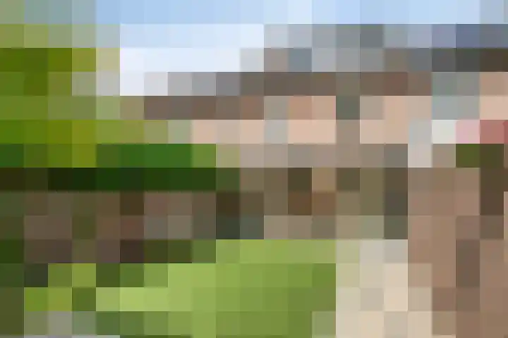 Boskant 61 Handel thumbnail 33