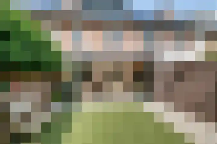 Boskant 61 Handel thumbnail 34