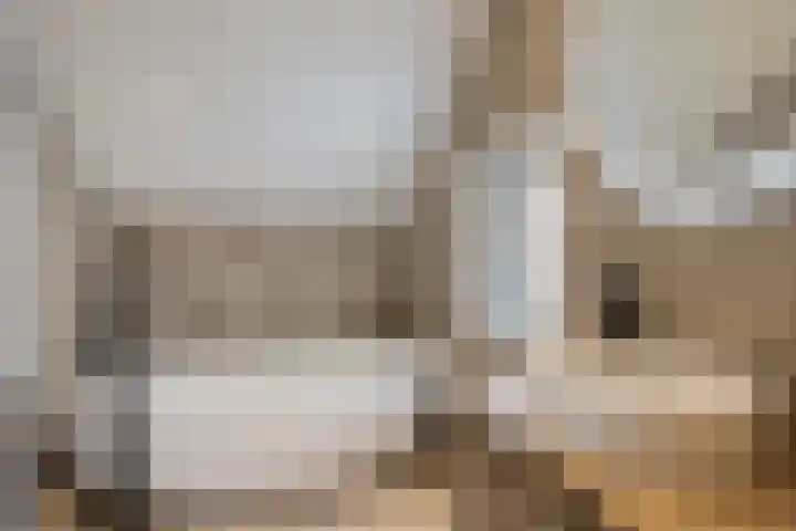 Boskant 61 Handel thumbnail 4