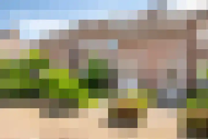 Boskant 61 Handel thumbnail 6