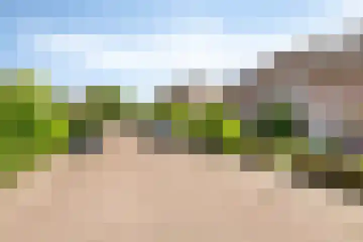 Boskant 61 Handel thumbnail 8