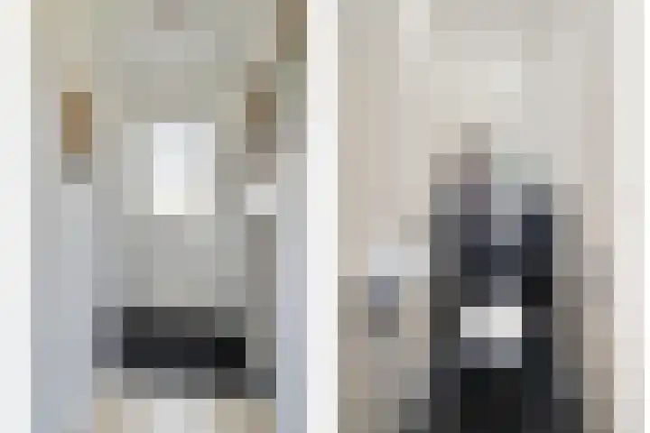 Boskant 61 Handel thumbnail 9