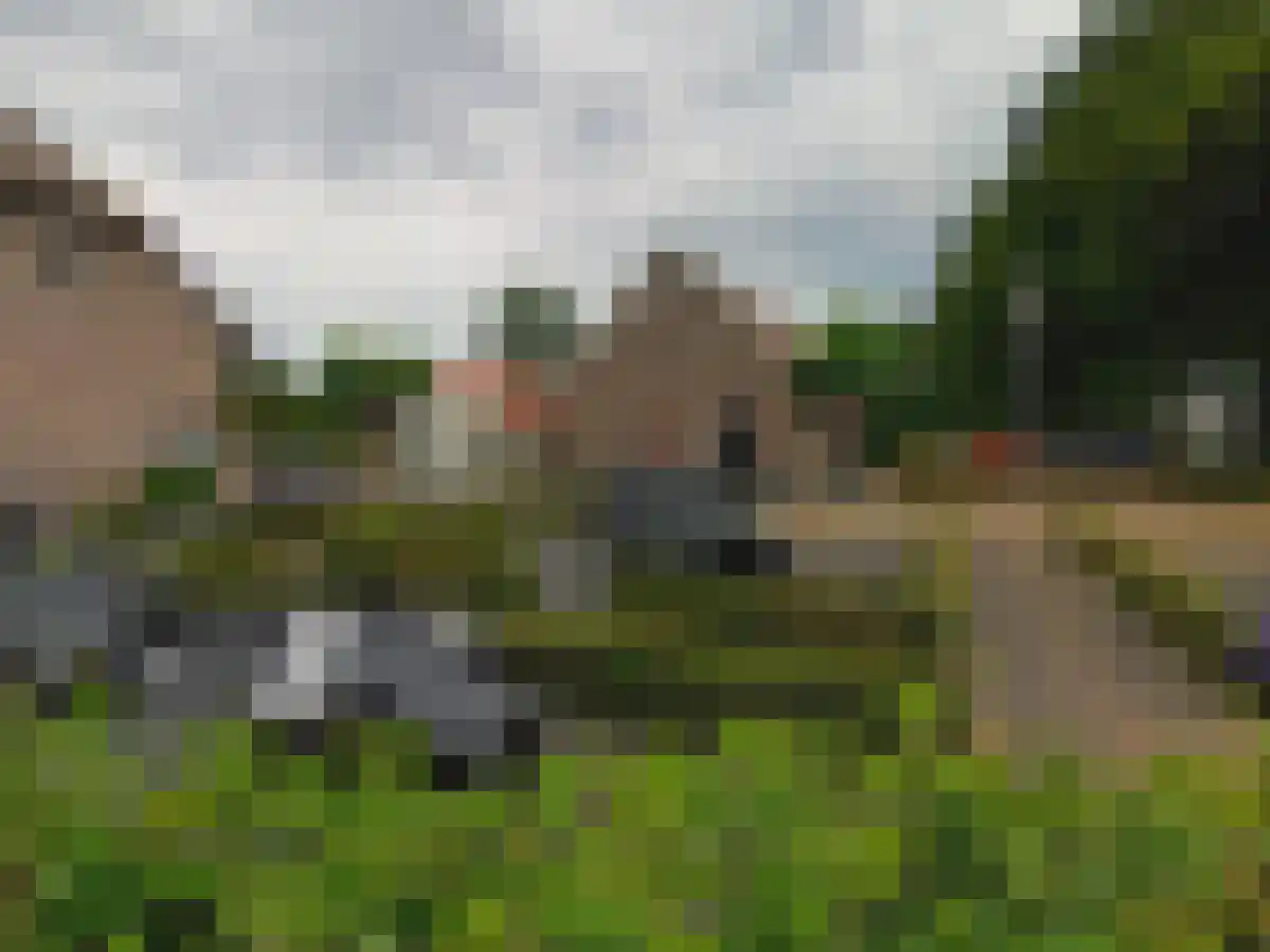 Boskant in Wijchen