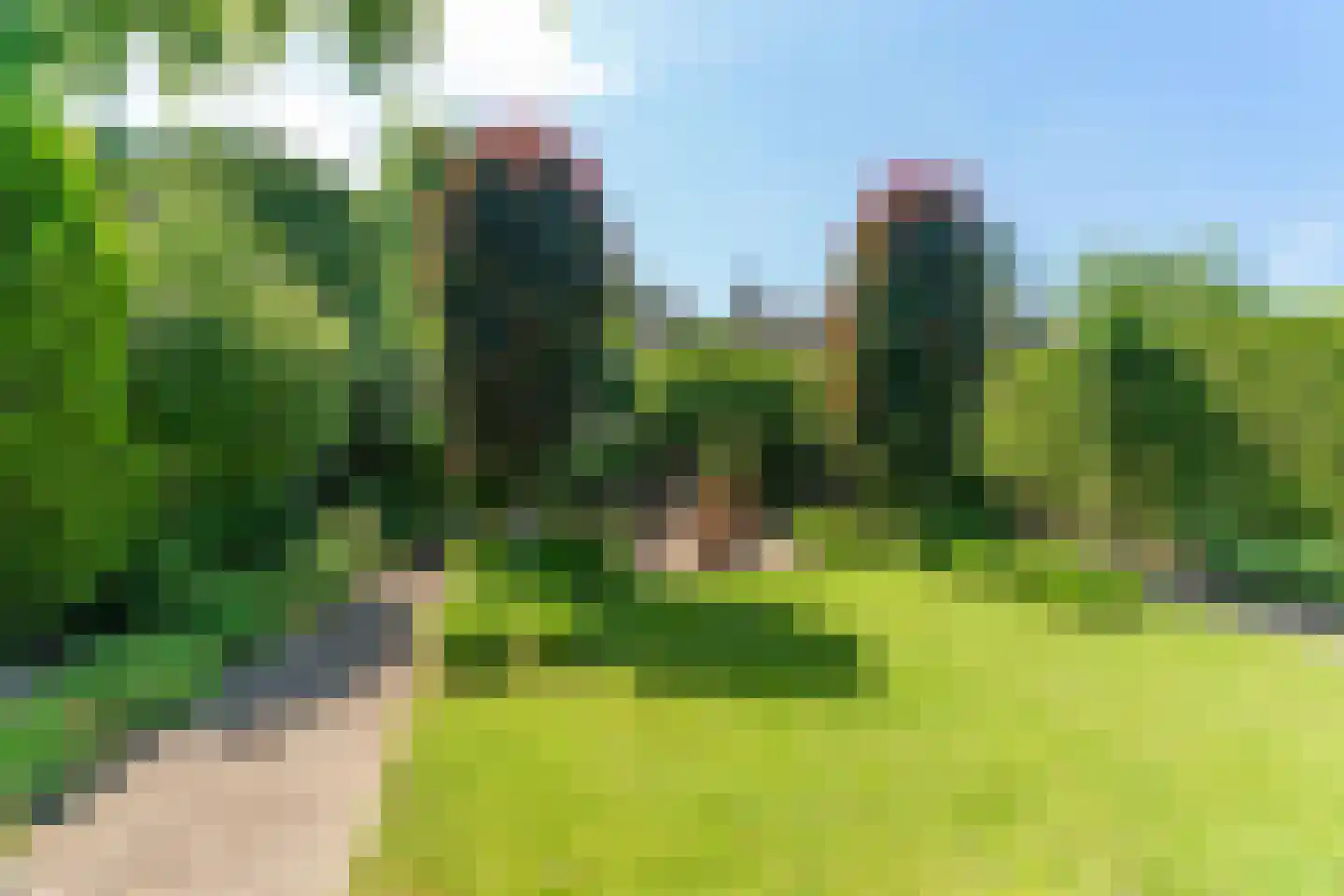 Boskantseweg 19 Sint-Oedenrode thumbnail 35