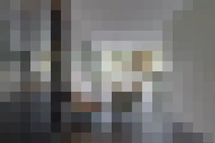 Boskbei 13 Surhuisterveen thumbnail 11