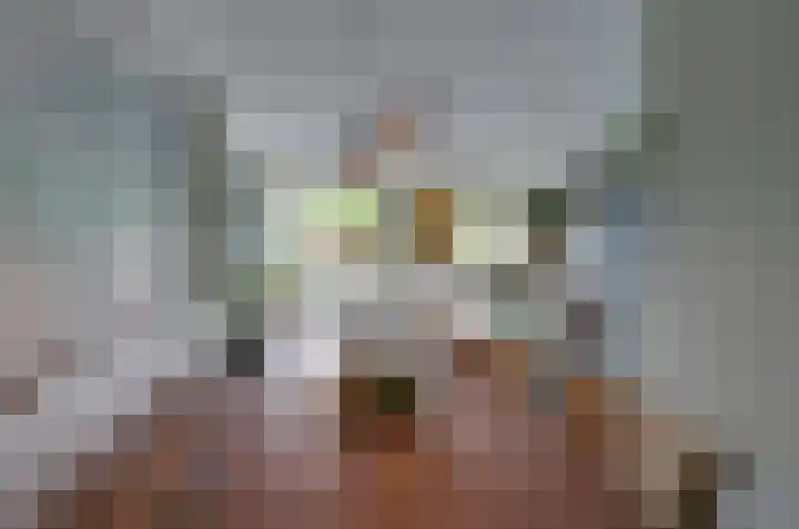 Boskbei 13 Surhuisterveen thumbnail 13