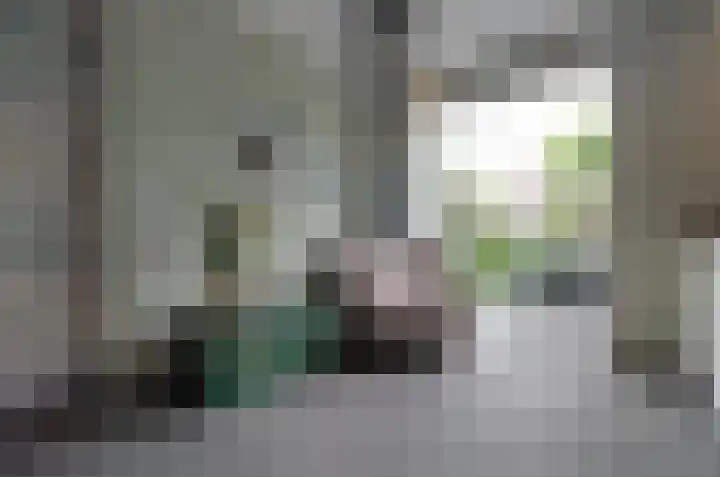 Boskbei 13 Surhuisterveen thumbnail 14