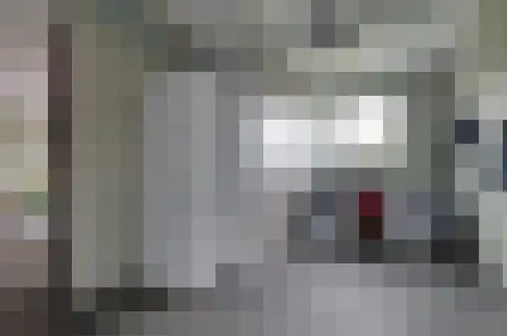 Boskbei 13 Surhuisterveen thumbnail 21