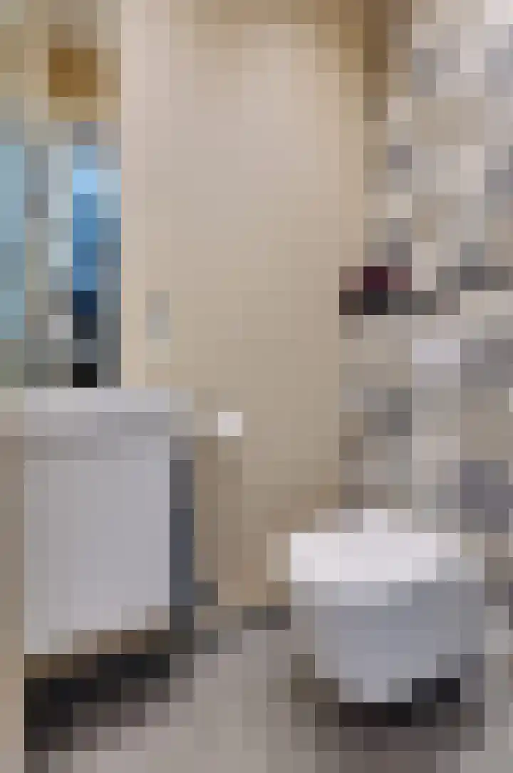 Boskbei 13 Surhuisterveen thumbnail 23