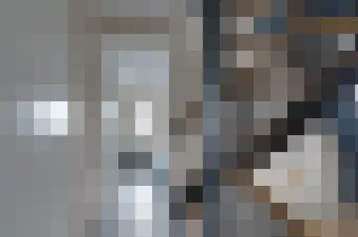Boskbei 13 Surhuisterveen thumbnail 26