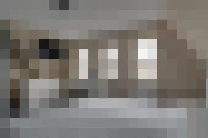 Boskbei 13 Surhuisterveen thumbnail 27