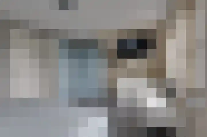 Boskbei 13 Surhuisterveen thumbnail 29