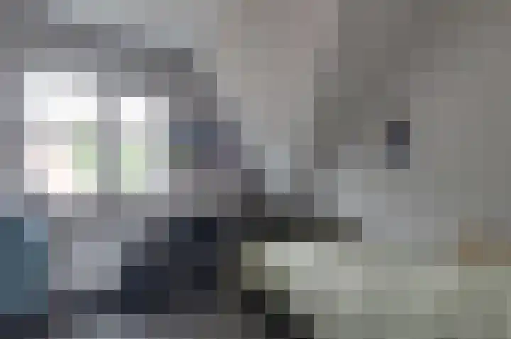 Boskbei 13 Surhuisterveen thumbnail 32