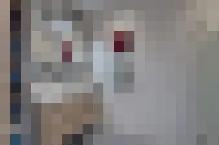 Boskbei 13 Surhuisterveen thumbnail 33