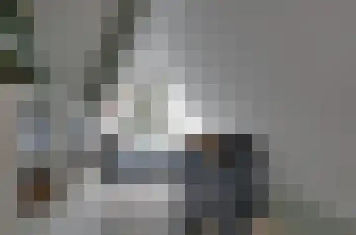 Boskbei 13 Surhuisterveen thumbnail 37