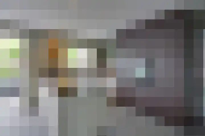 Boskbei 13 Surhuisterveen thumbnail 4