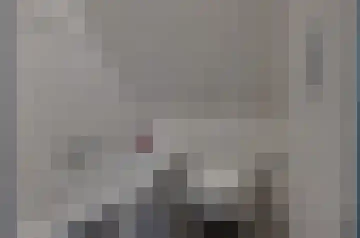Boskbei 13 Surhuisterveen thumbnail 42