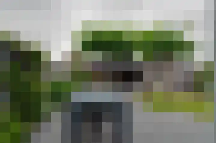 Boskbei 13 Surhuisterveen thumbnail 43