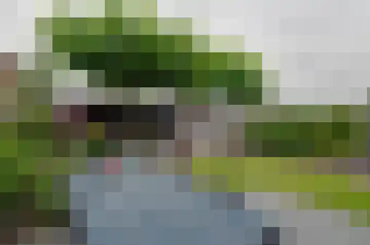Boskbei 13 Surhuisterveen thumbnail 44