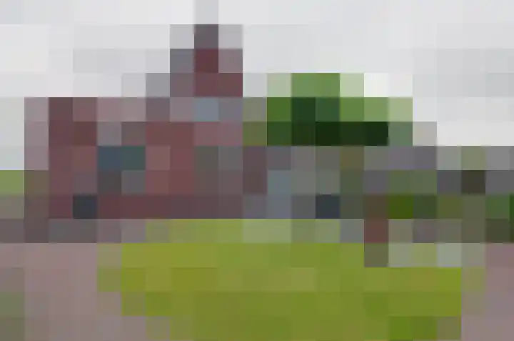 Boskbei 13 Surhuisterveen thumbnail 45