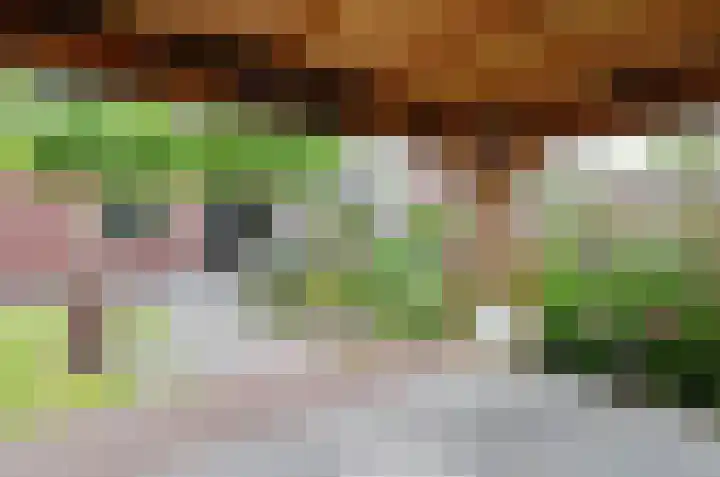 Boskbei 13 Surhuisterveen thumbnail 46