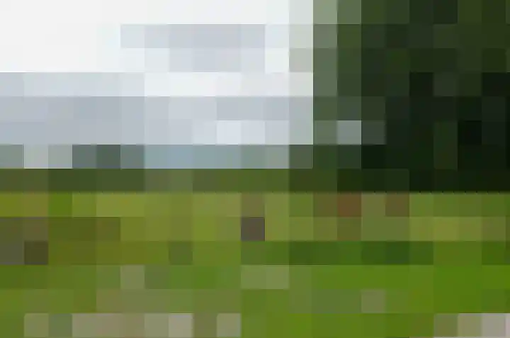 Boskbei 13 Surhuisterveen thumbnail 50