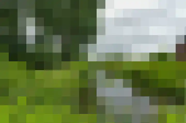 Boskbei 13 Surhuisterveen thumbnail 51