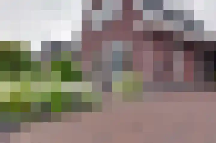 Boskbei 13 Surhuisterveen thumbnail 54