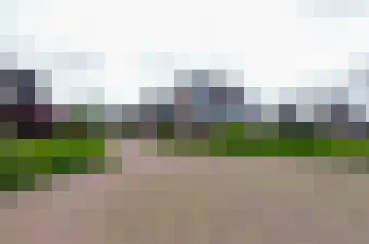 Boskbei 13 Surhuisterveen thumbnail 56