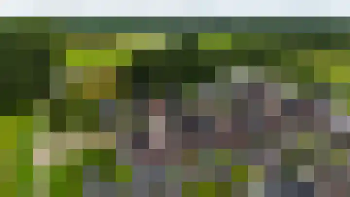Boskbei 13 Surhuisterveen thumbnail 57