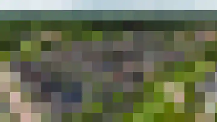 Boskbei 13 Surhuisterveen thumbnail 58