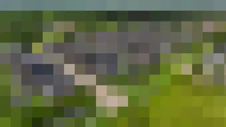 Boskbei 13 Surhuisterveen thumbnail 59