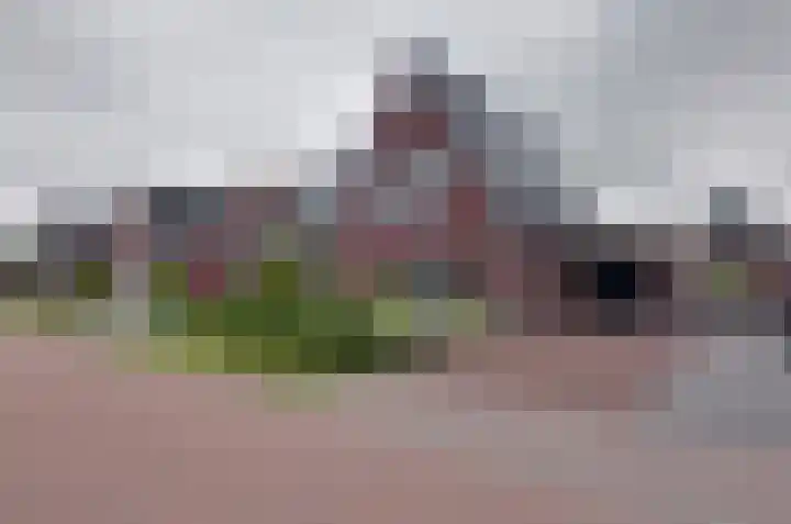 Boskbei 13 Surhuisterveen thumbnail 6